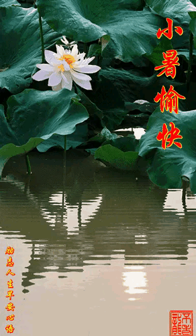 《海天诗画》名家精品诗三首作者‖小辉（广州）（图2）