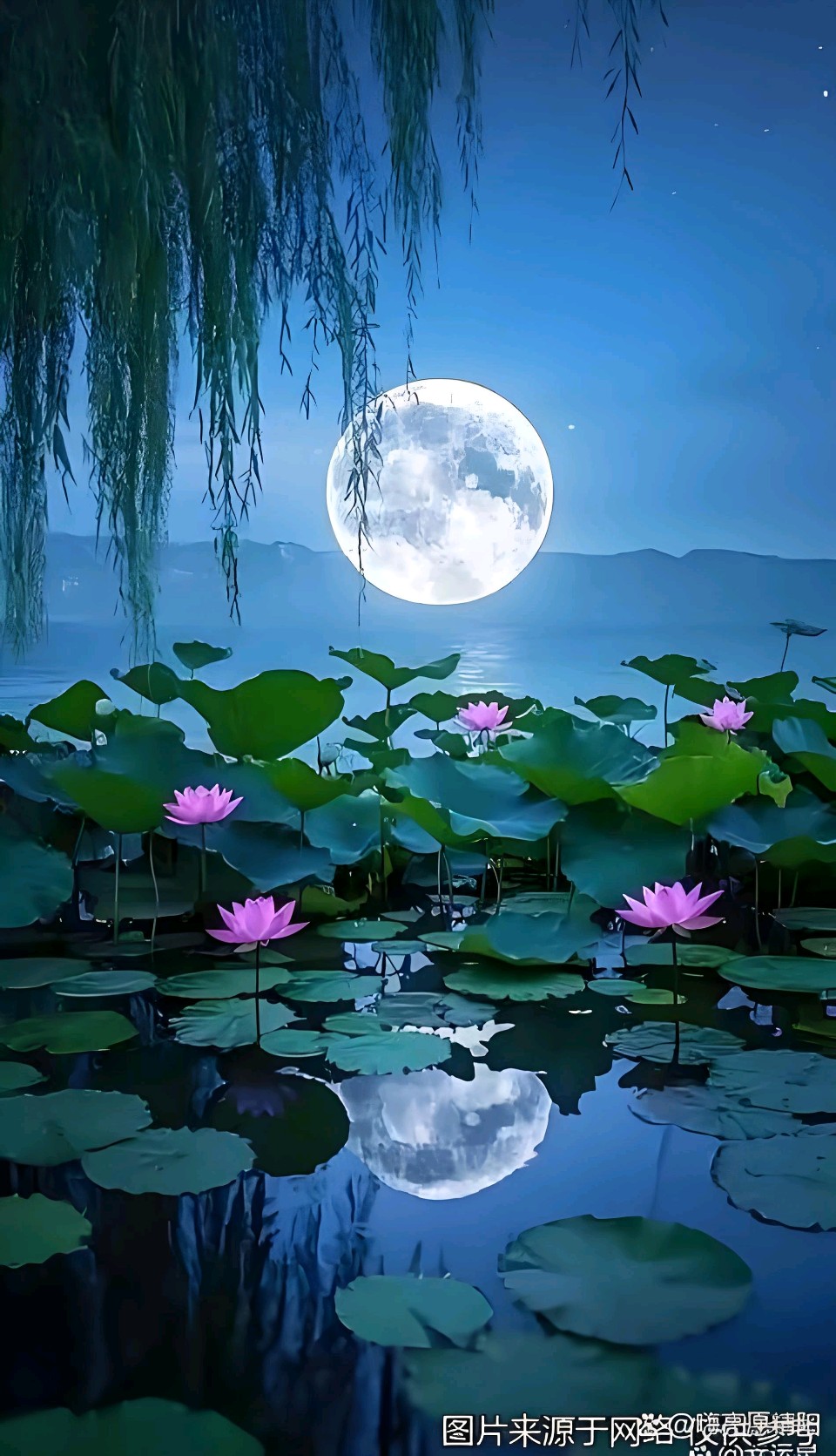 中华红旗国际诗社~北京头条~是谁把诗写在月亮上:作者/雨下罗加:朗诵/边城(图11)