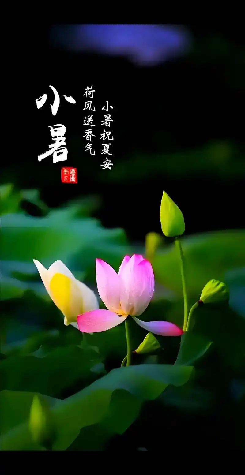 【老丫文苑】张国盛//五绝 盛夏乐欢场//(广东)(图2)
