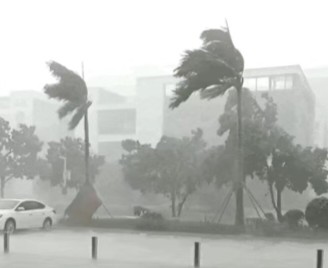 【霜天晓角】狂风暴雨冯斌一鄂（图2）