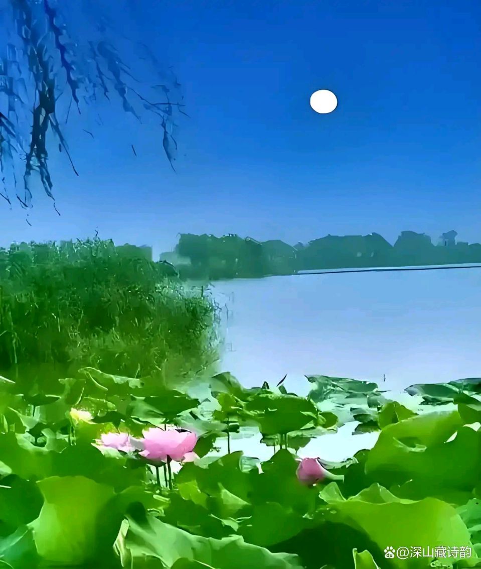 月下荷塘（外一首） 作者:田兴才（图2）