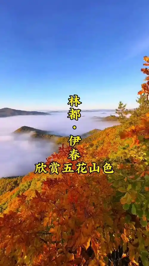 致战友(外一首)赵春阳(黑龙江)(图27)