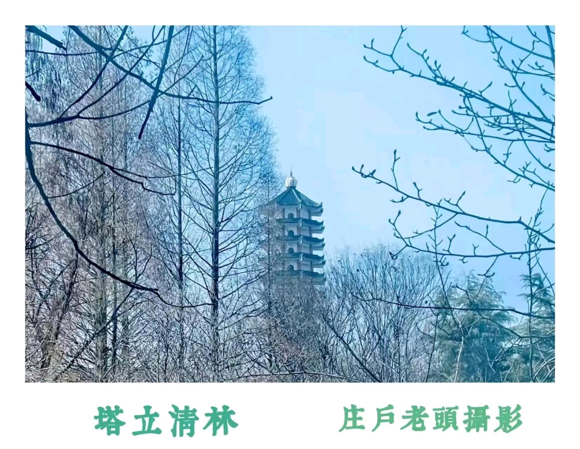 【北京头条】李思義诗歌散文专辑112期(图6)