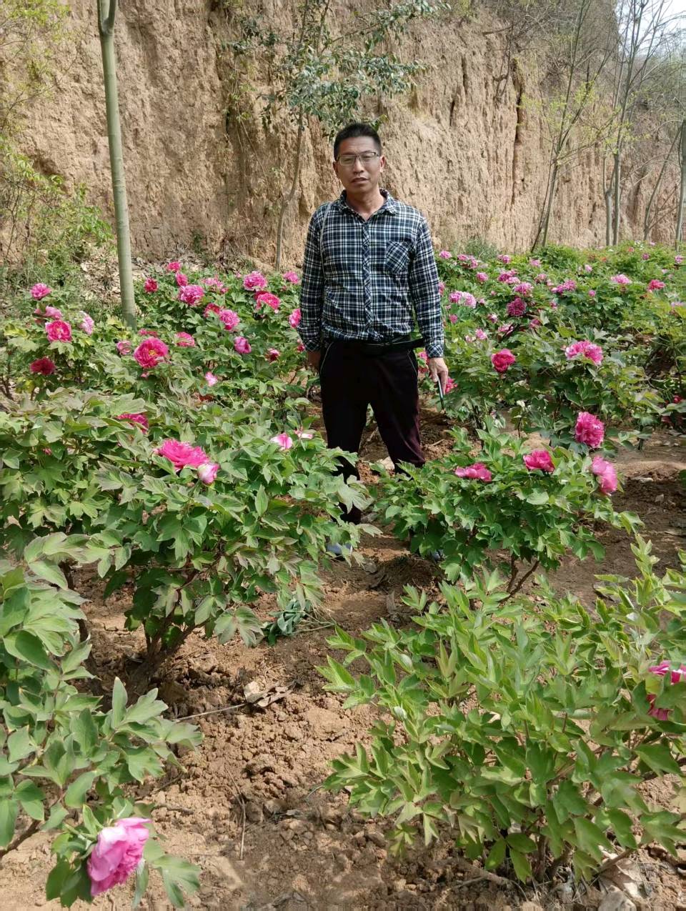 中国民间诗人名录‖梅崖心语