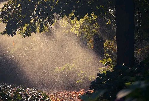 太阳雨随笔(文/许碧霞)/七绝·月下寄远(文/冯清明)……莲叶之珠文学社(图5)