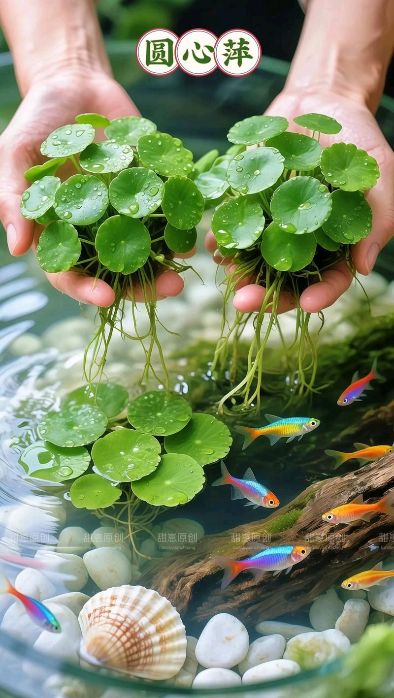 六副楹联十内涵解读 作者*唐增虎(山东)(图7)