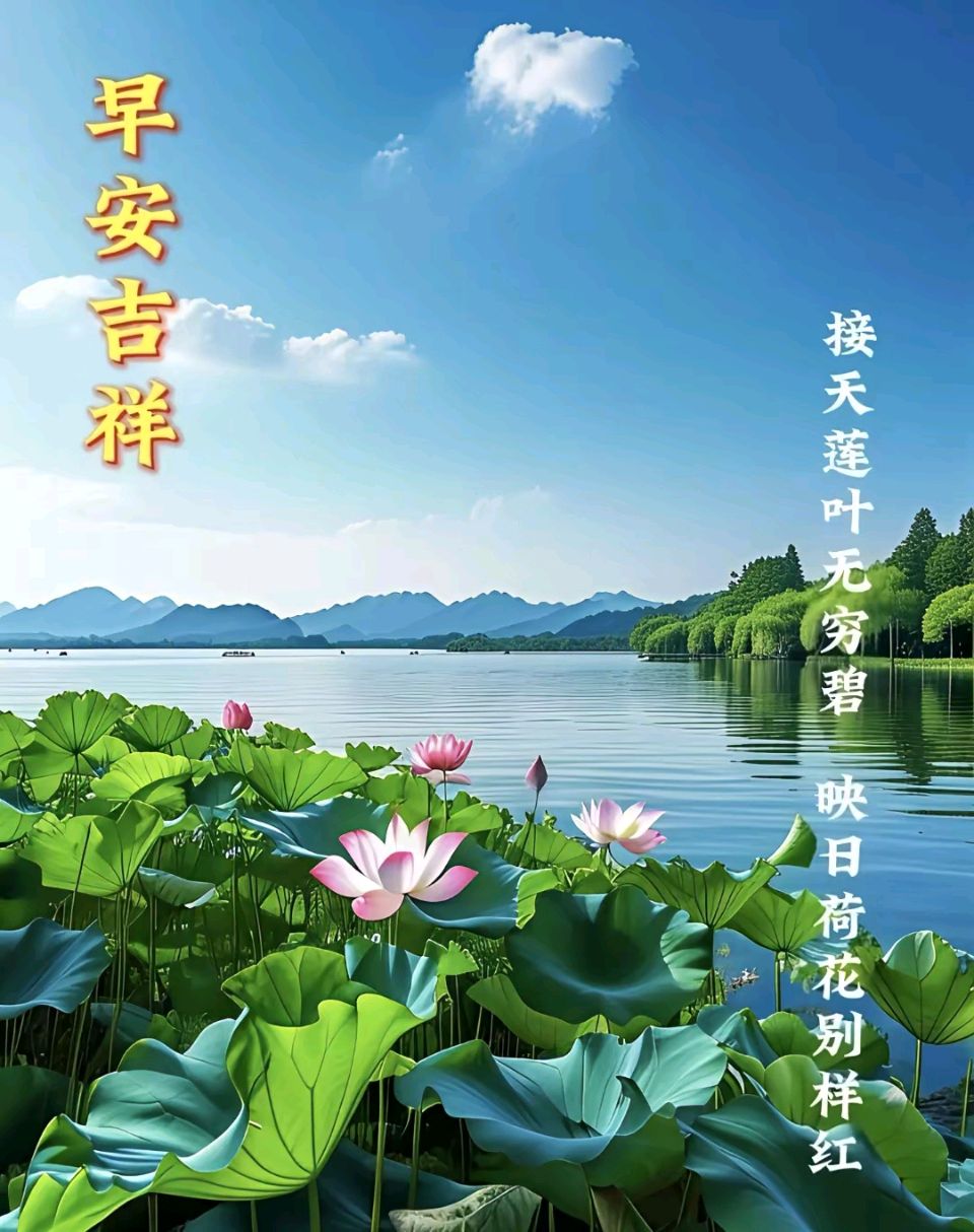 【大国砥柱·夏夜风华】2026年7月8日央视新闻联播与焦点访谈全景录:二十首《念奴娇》铸就千秋雄词,一篇《丙午季夏观国闻赋》激荡九洲风雷!(图5)