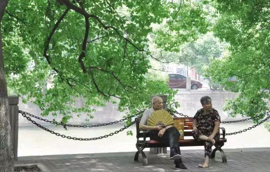 五律 消夏闲吟(平水韵)文 / 王忠森 (山水逸翁)（图4）