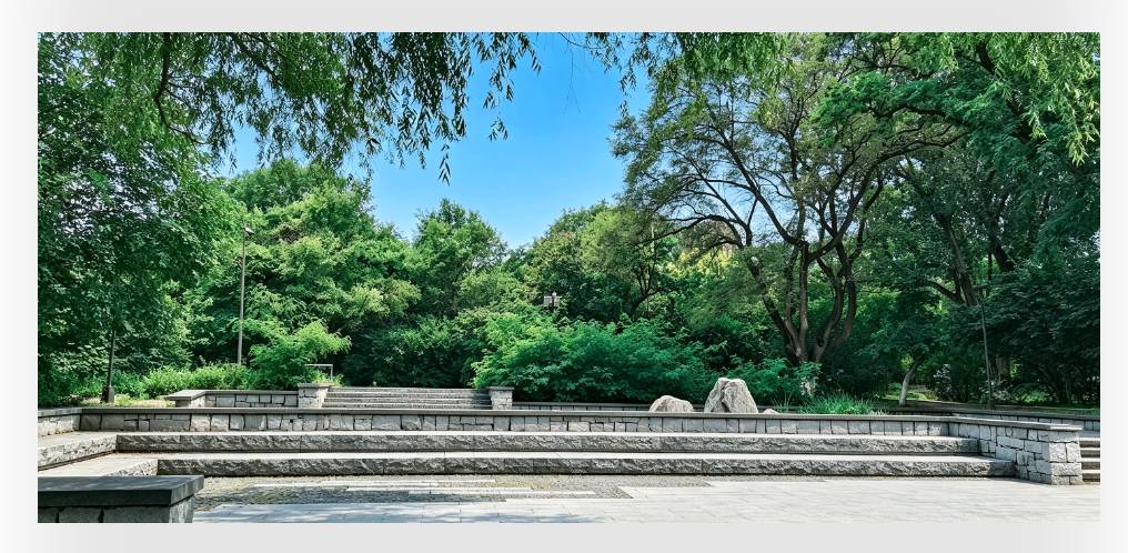康庆良‖当代作家：烟火寻常，砥砺半生守温良（专辑2）（图10）