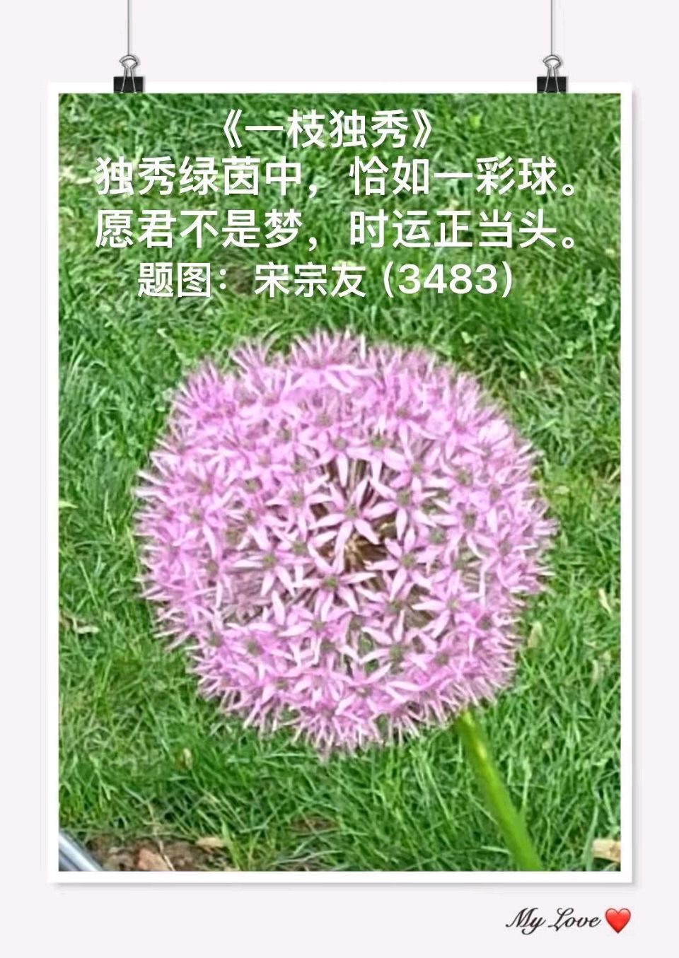 题图诗连载3522《松花湖》作者宋宗友(吉林)编辑孙秀兰20260709（图28）