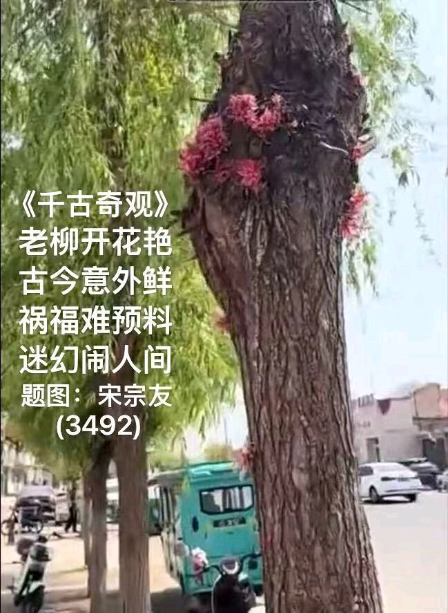 题图诗连载3522《松花湖》作者宋宗友(吉林)编辑孙秀兰20260709（图24）