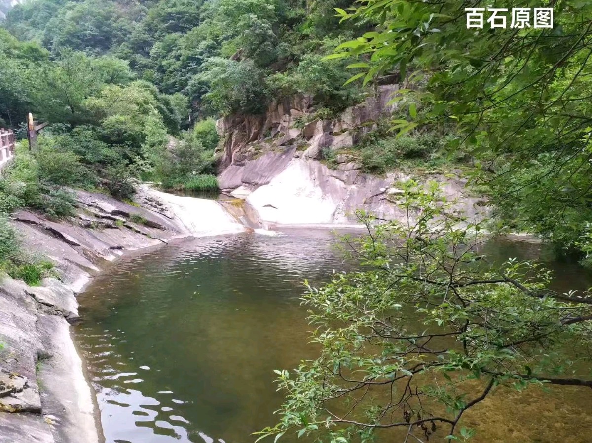 游成都熊猫繁育基地