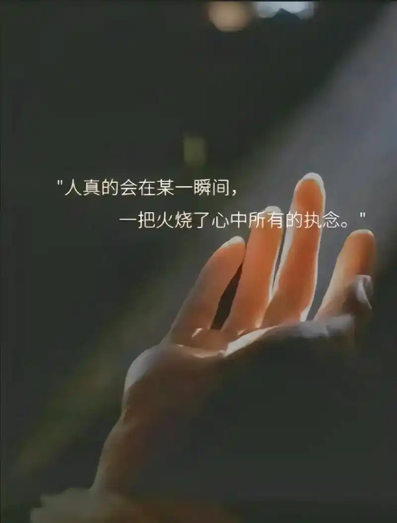郑金波作品欣赏（图4）