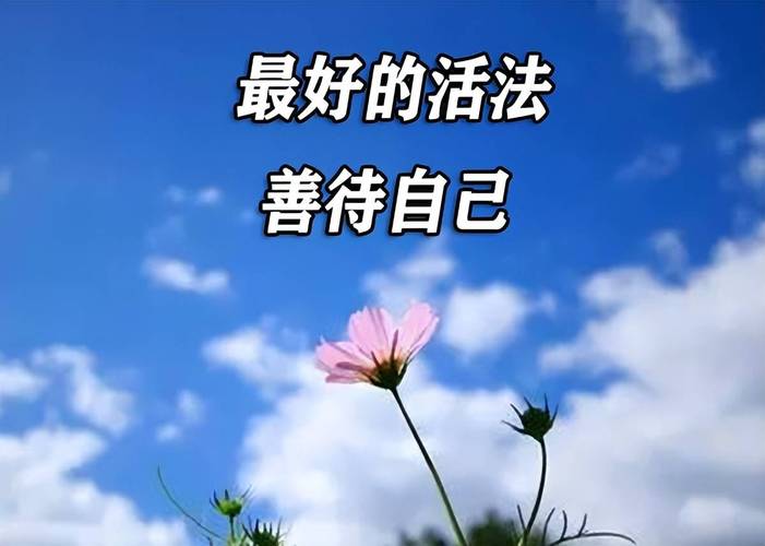 郑金波作品欣赏（图13）