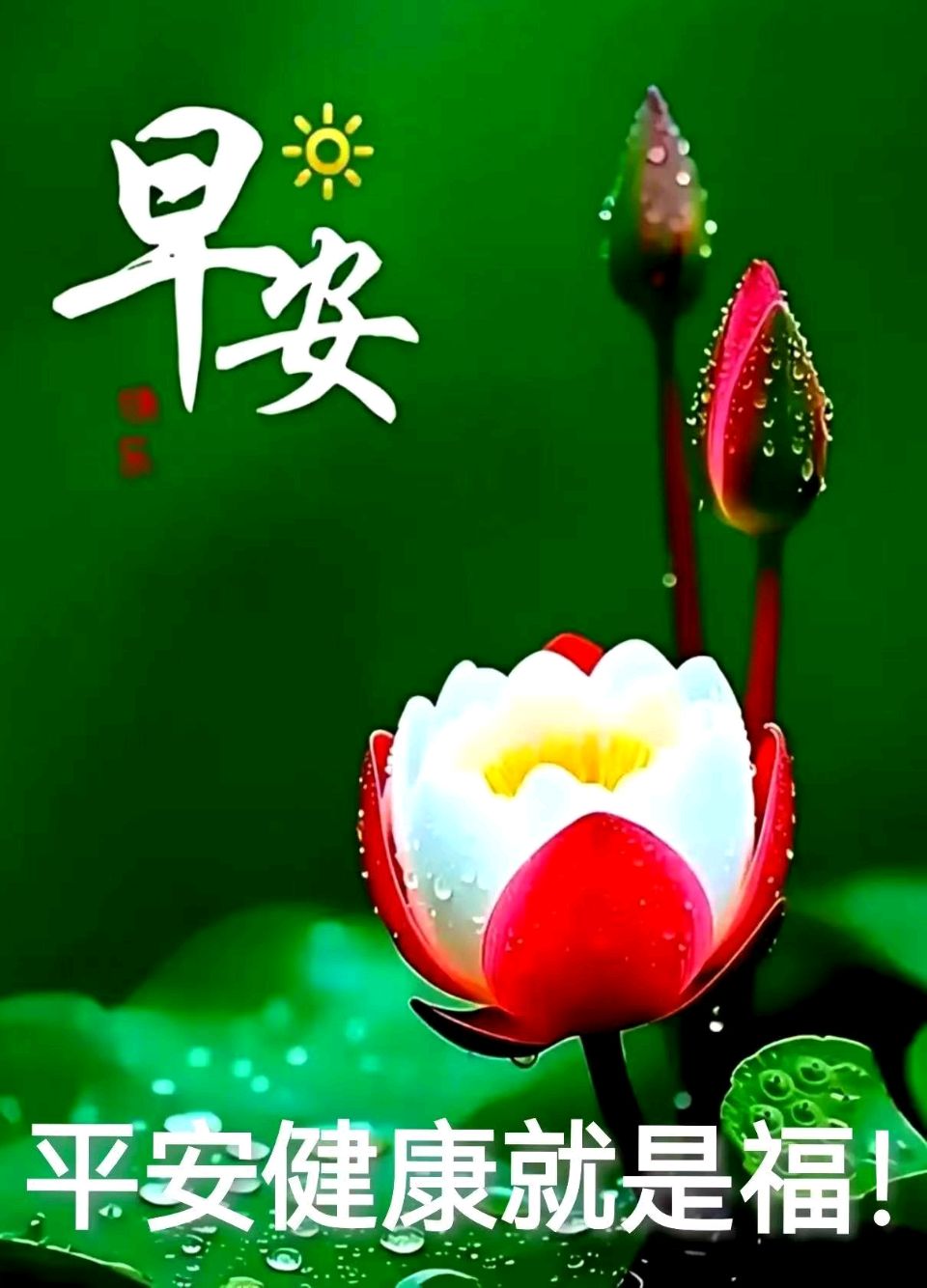 【都市头条成都文苑编辑部】主编周原翁;诗文作者何俊锋.翟功印.李向前.屈军强.楊达.秦牛.成公田.(图13)