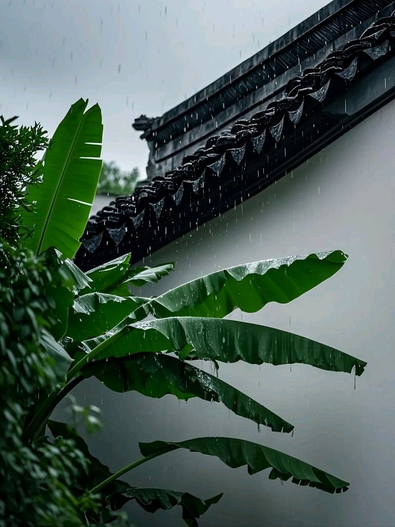 绝句《雨打芭蕉二首》刘国星老师佳作欣赏（图4）