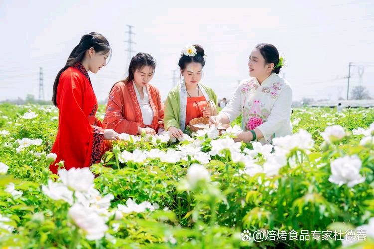 【北京头条】孙书林歌词专辑098期（图3）