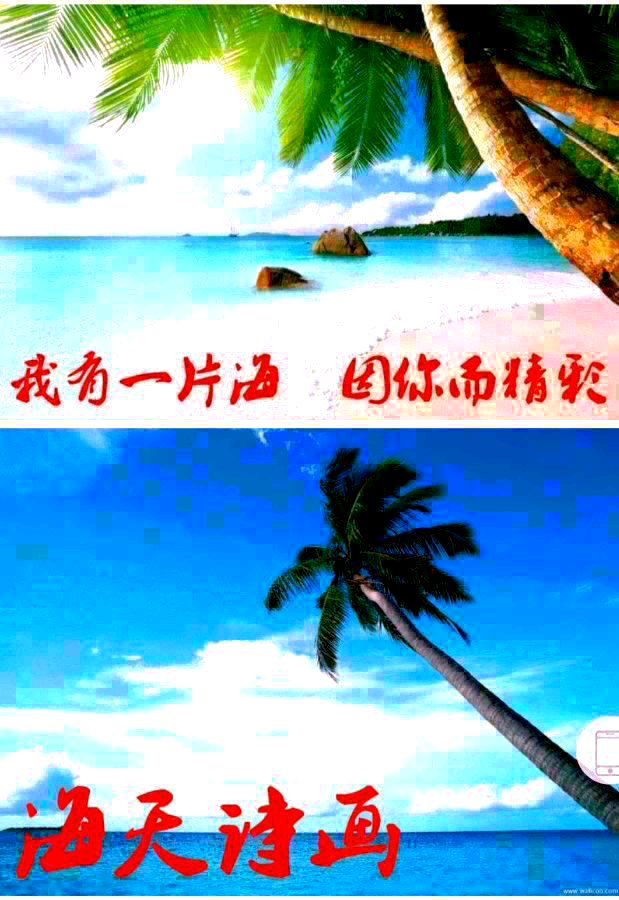 《海天诗画》名家精品蛾眉月随想诗‖许碧霞（江西）（图7）