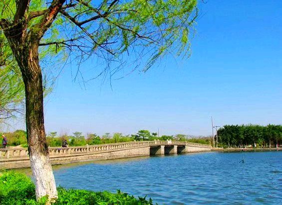 【荣耀中国】文学社*一剪梅·莆夏之恋(外一首) 作者/心桂(图5)