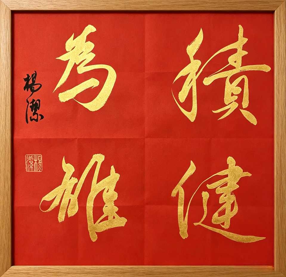 东航陕西传媒分公司退休财务总监杨洁书法欣赏｜中华诗经阁陕西分社推荐（图4）