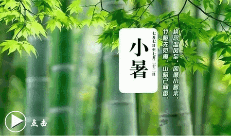 北京诗社“曙色荷香”同题2026年【第23期】诗词合刊 北京头条(图34)