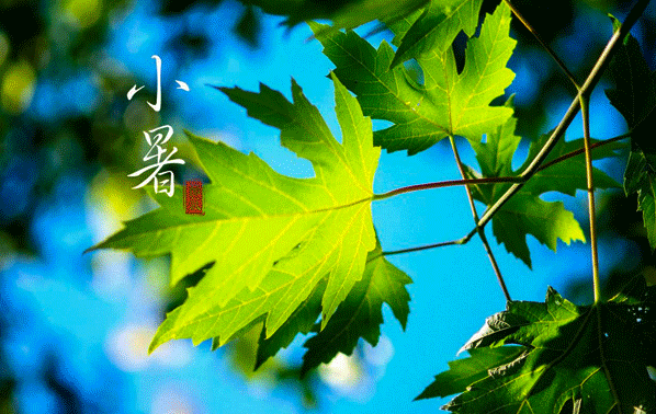 北京诗社“曙色荷香”同题2026年【第23期】诗词合刊 北京头条(图45)