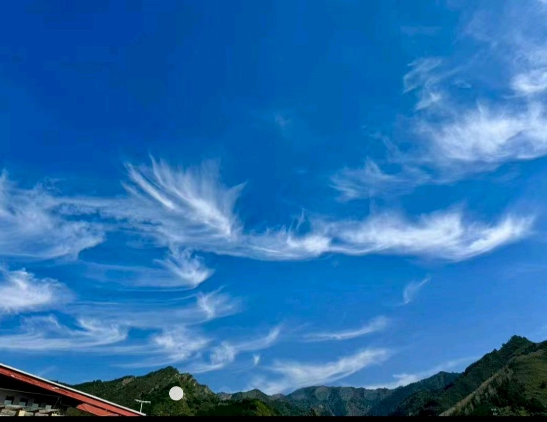 苏 扬：夏之杂吟.四首（图5）