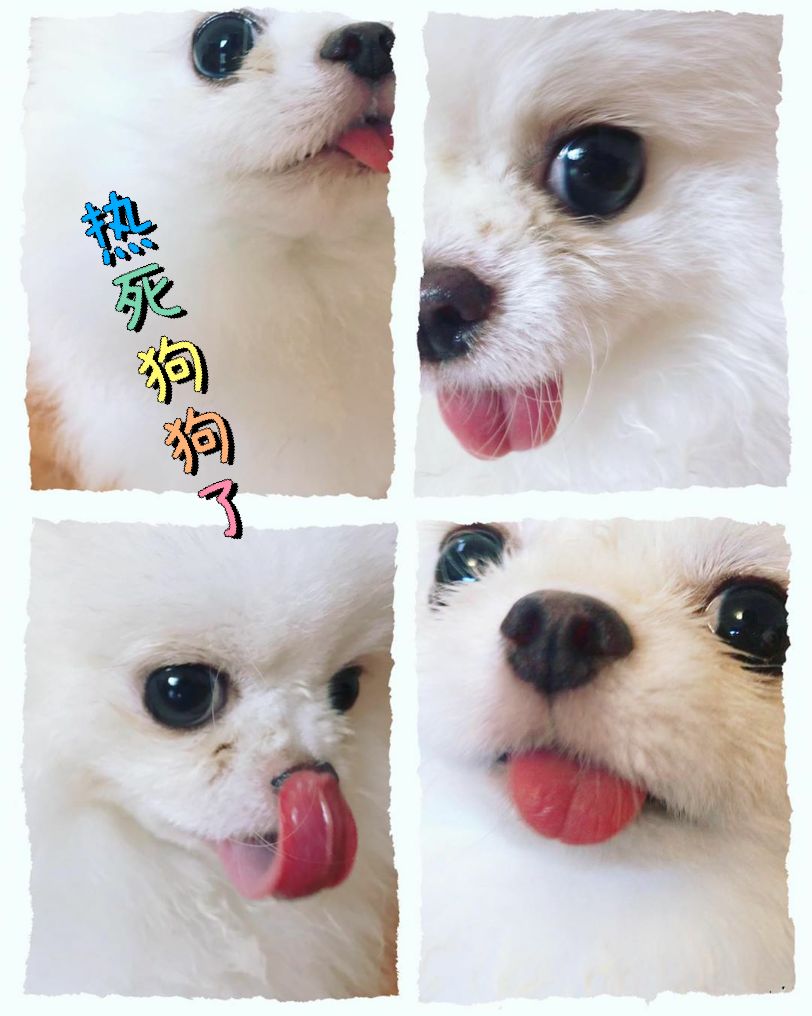 请欣赏《夏日抒怀》作者/吕福海 主播·编辑/一个人【中国长江文学社】有声文学平台【第18868期】（图4）