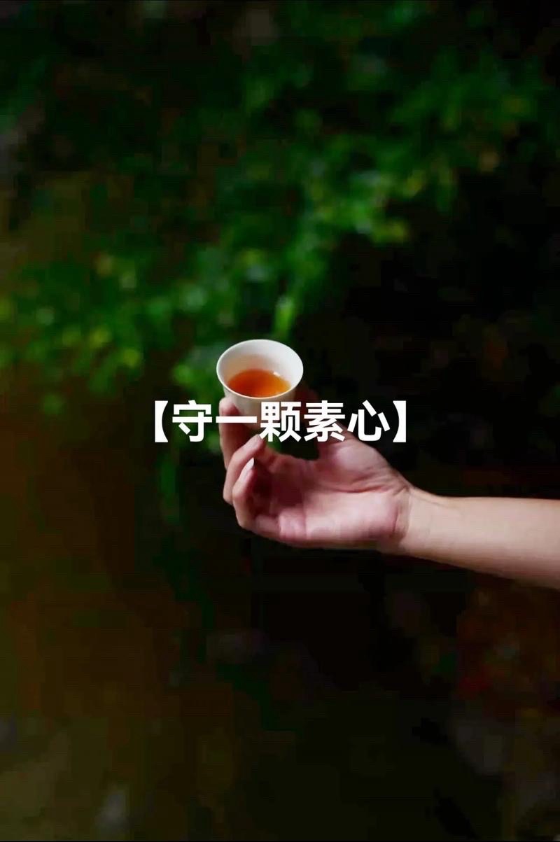 海外头条:王军朗诵《保持一颗平常心》作者:高秀军(图5)