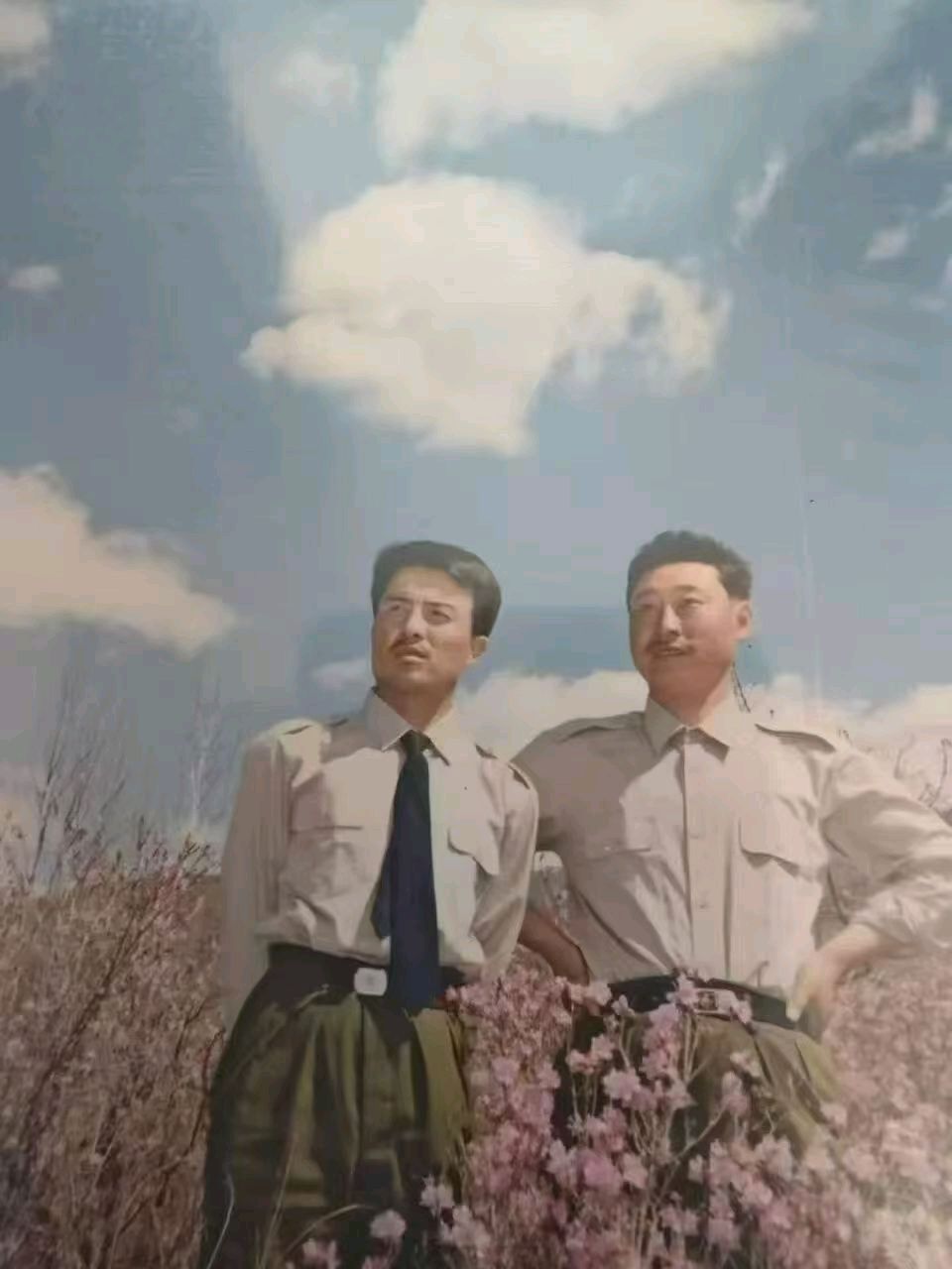 【中华友谊诗社】第064期百花齐放（文责自负）（图16）