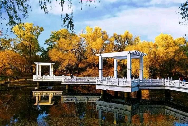 【中华友谊诗社】第064期百花齐放（文责自负）（图23）