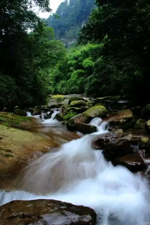 七绝·赏荷(文/冯清明)/山韵(文/许碧霞)……莲叶之珠文学社(图6)