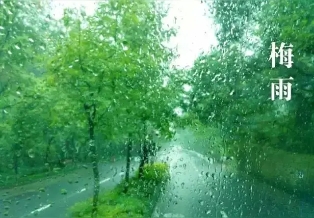勿忘国耻(文/刘利佳)/七律·江南梅雨(文/韩满林)……莲叶之珠文学社(图7)