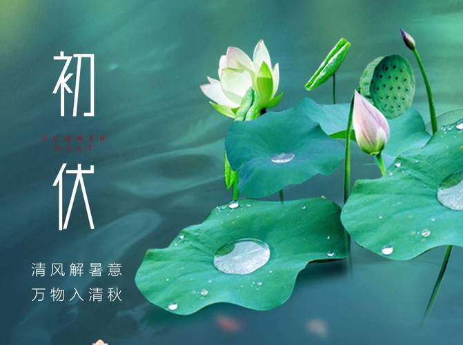 《中华好诗词》分享(陕西榆林)优秀诗人贺树元先生《七律.入伏抒怀》外二首请雅鉴(图4)