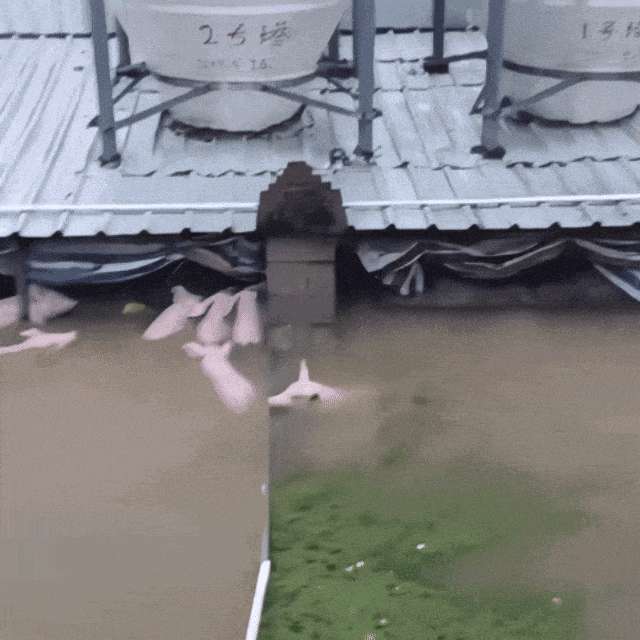 广西父老乡亲永远的忘不了你一一一写给在一线抗洪救援的同胞们…… 文/原野（图3）