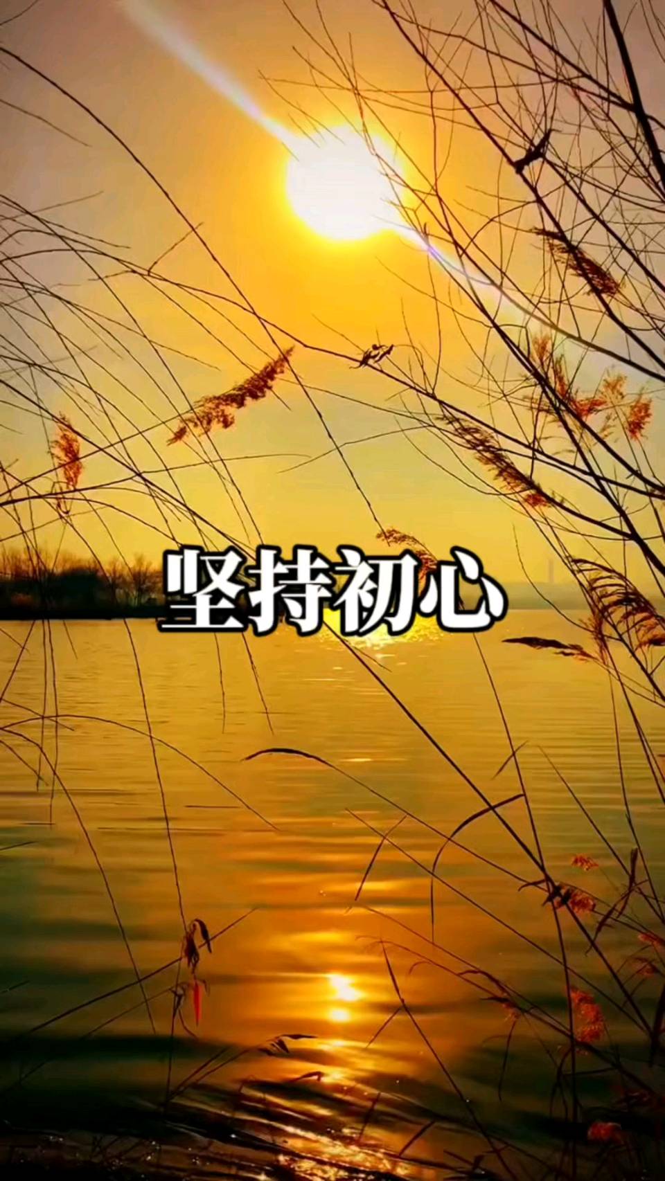 鹧鸪天*守心 作者*唐增虎(山东)(图4)