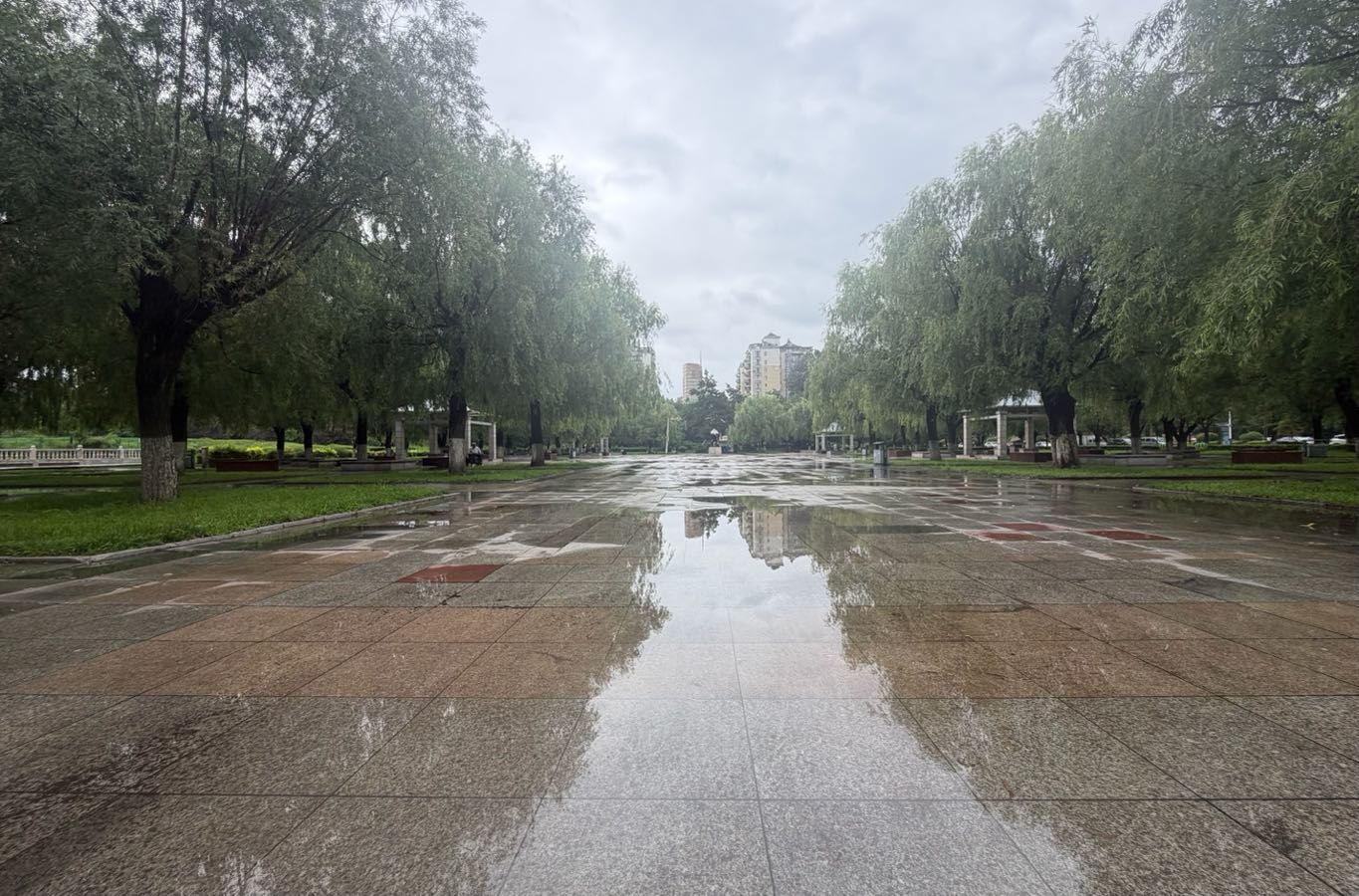 尽日雨风绵