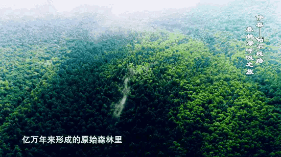 《海天诗画》名家精品鹧鸪天•重游伊春避暑（晏几道体）词‖王省南（浙江杭州）（图3）