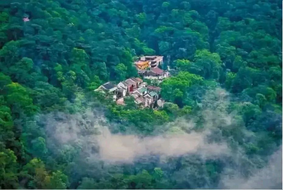 《海天诗画》名家精品山 韵诗‖许碧霞（江西）（图5）