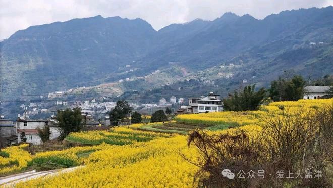 春夏秋冬四季，你喜欢哪个季节（图3）