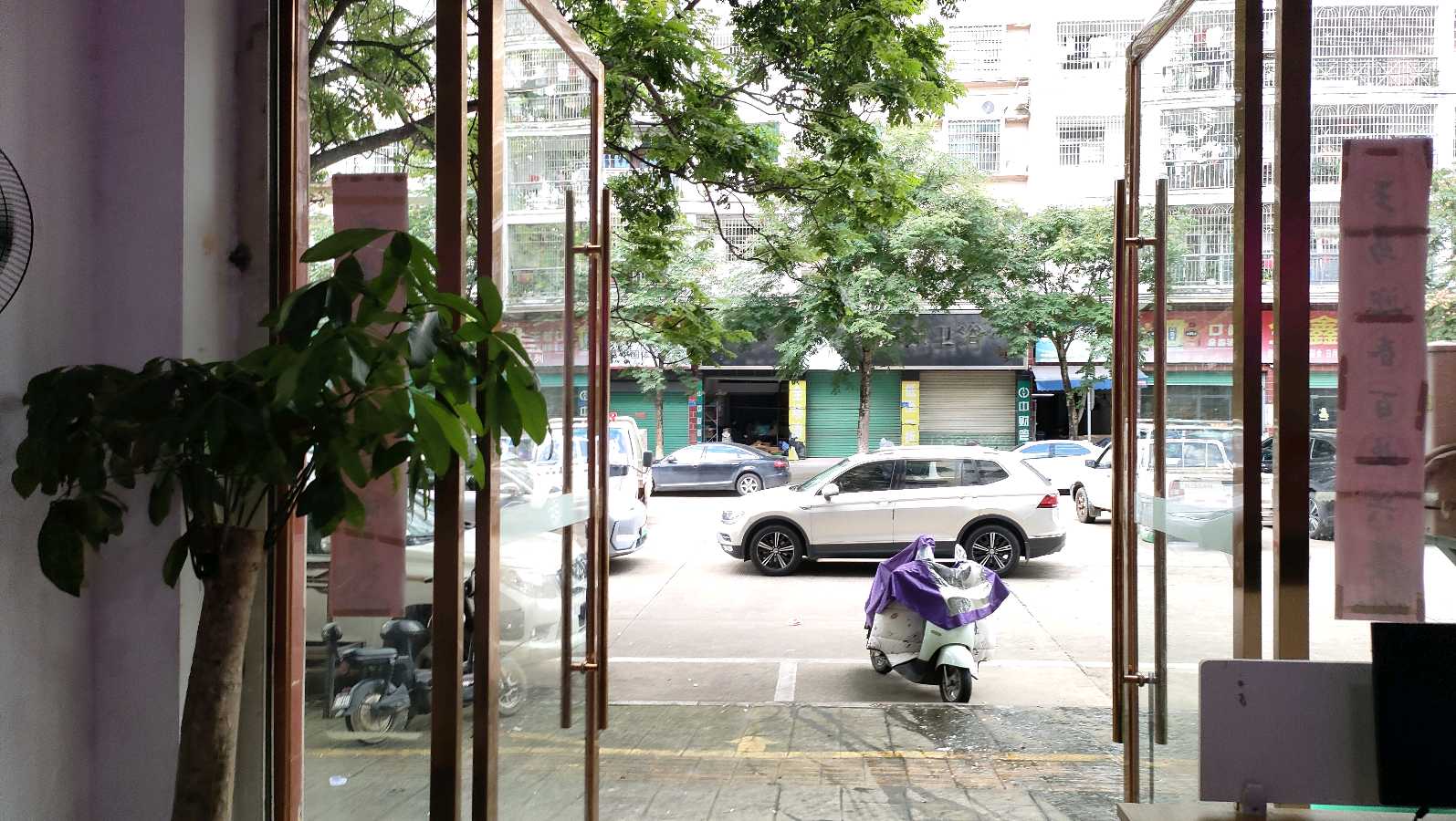 吴五生:一个草药师的芬芳人生(图13)