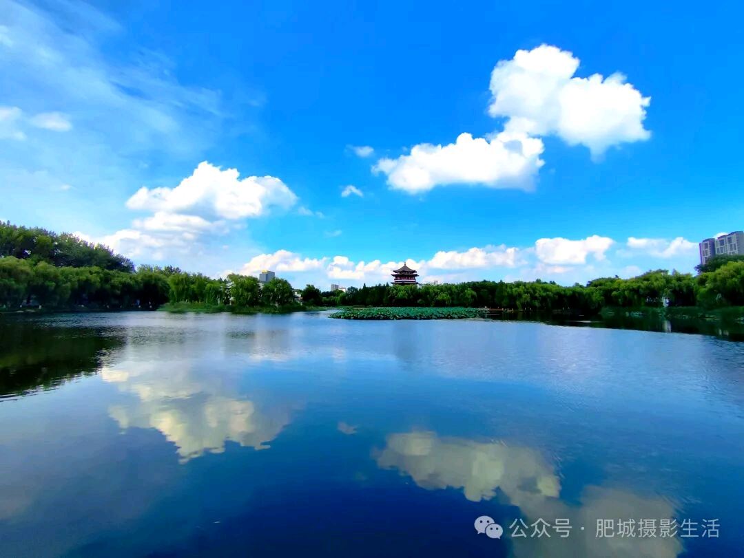 【泰山歌声•家乡美】民歌喜乐版《听说你来肥城》作词：刘培龙 刘燕 冉燕 尹春花 演唱/菲儿 制作/肥子民歌创作室（图7）