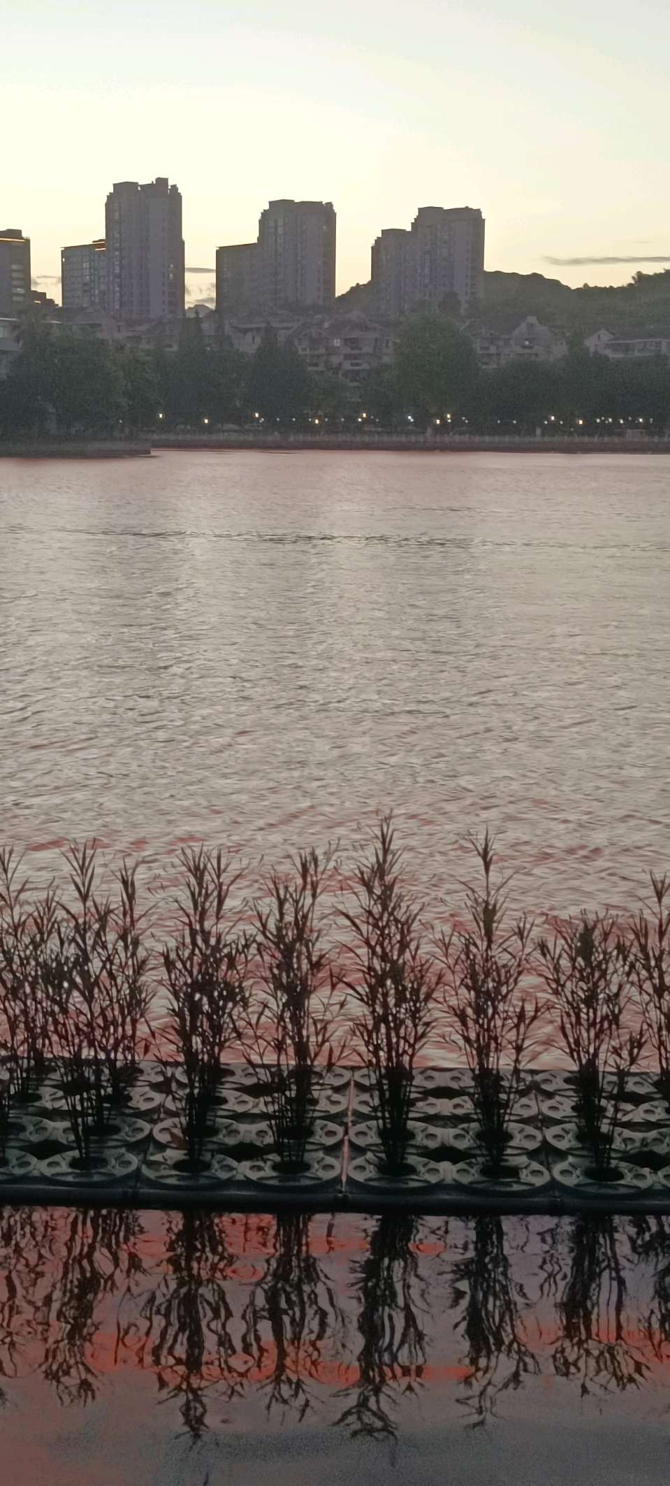 【云天诗馆*古诗词】台风正常，夏浪不慌（图4）