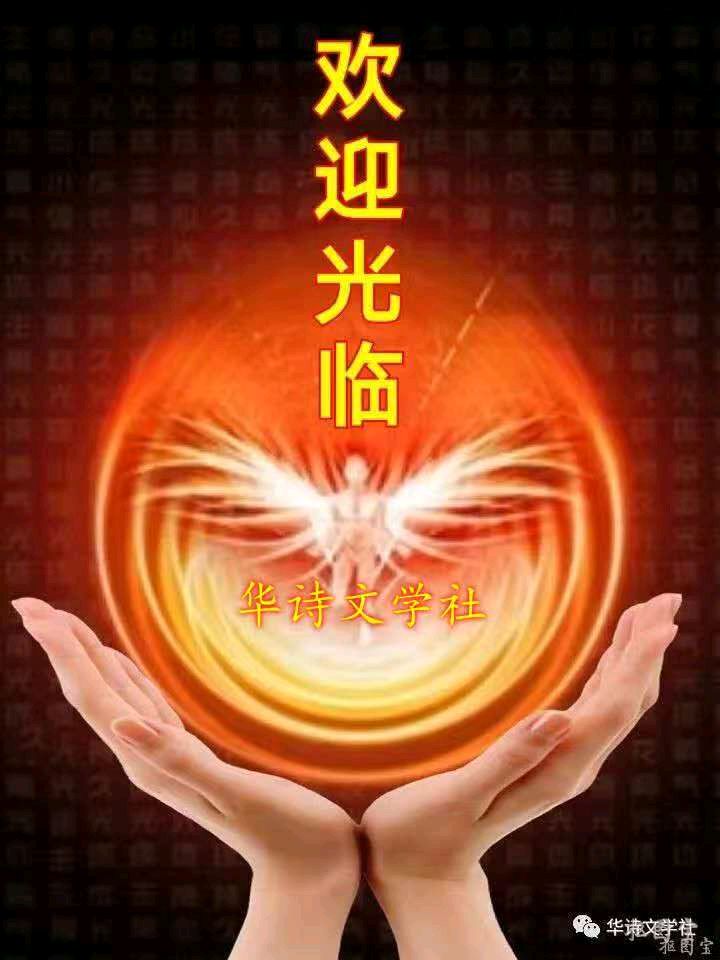 中国文艺工作者联合会★中华微诗学院（华诗文学周刊）第123期（图28）
