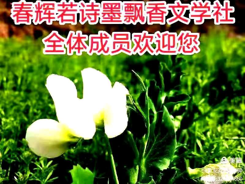 闲林老师佳作推荐 西江月.军民共击“巴威” 外一首 精英金牌主播仁娟 春辉若诗墨飘香文学社第3973期