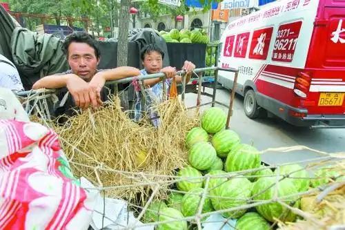清平乐•瓜农心如卖炭翁文/牧壑（图2）