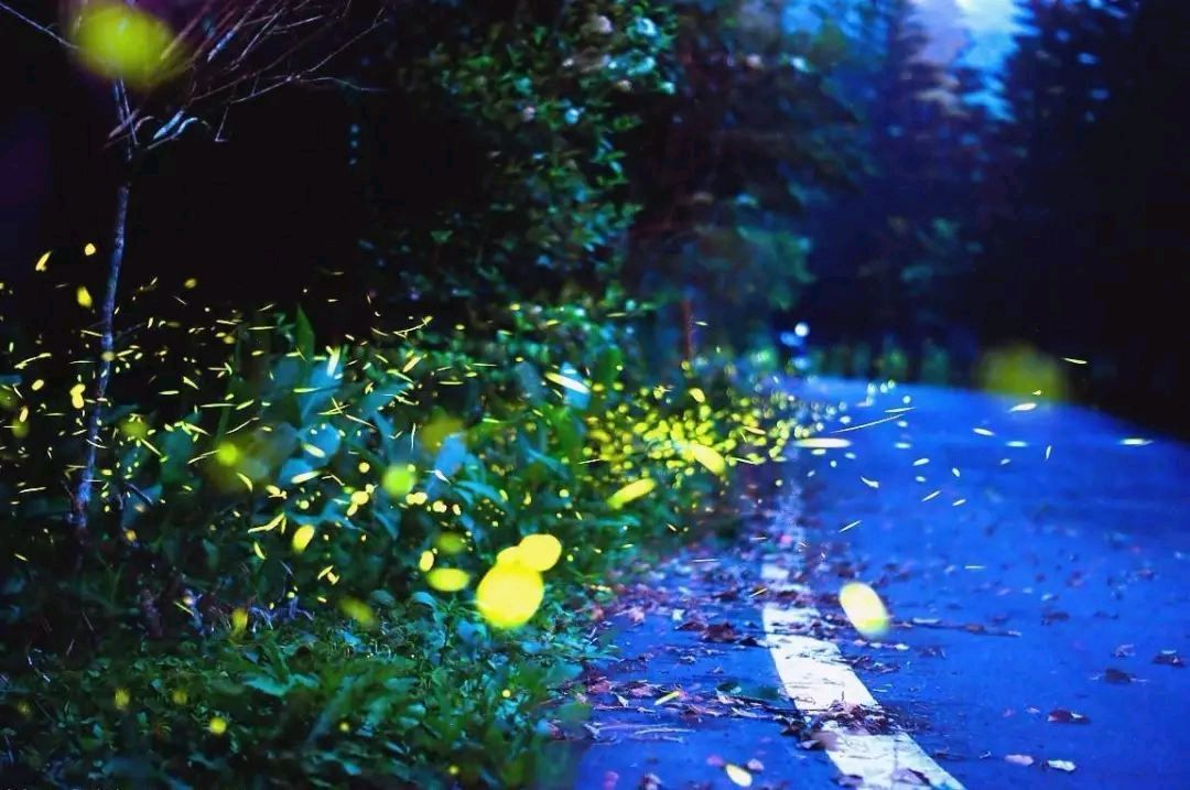张天科(宝鸡)‖乡村夏夜(图6)