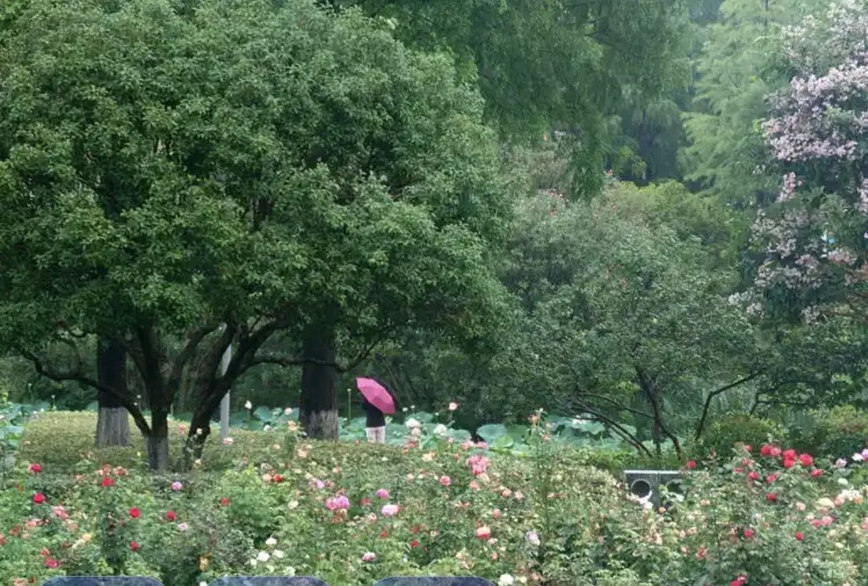 【旗舰版】七绝组诗·夏情暑景 文/谭宝贵（图3）
