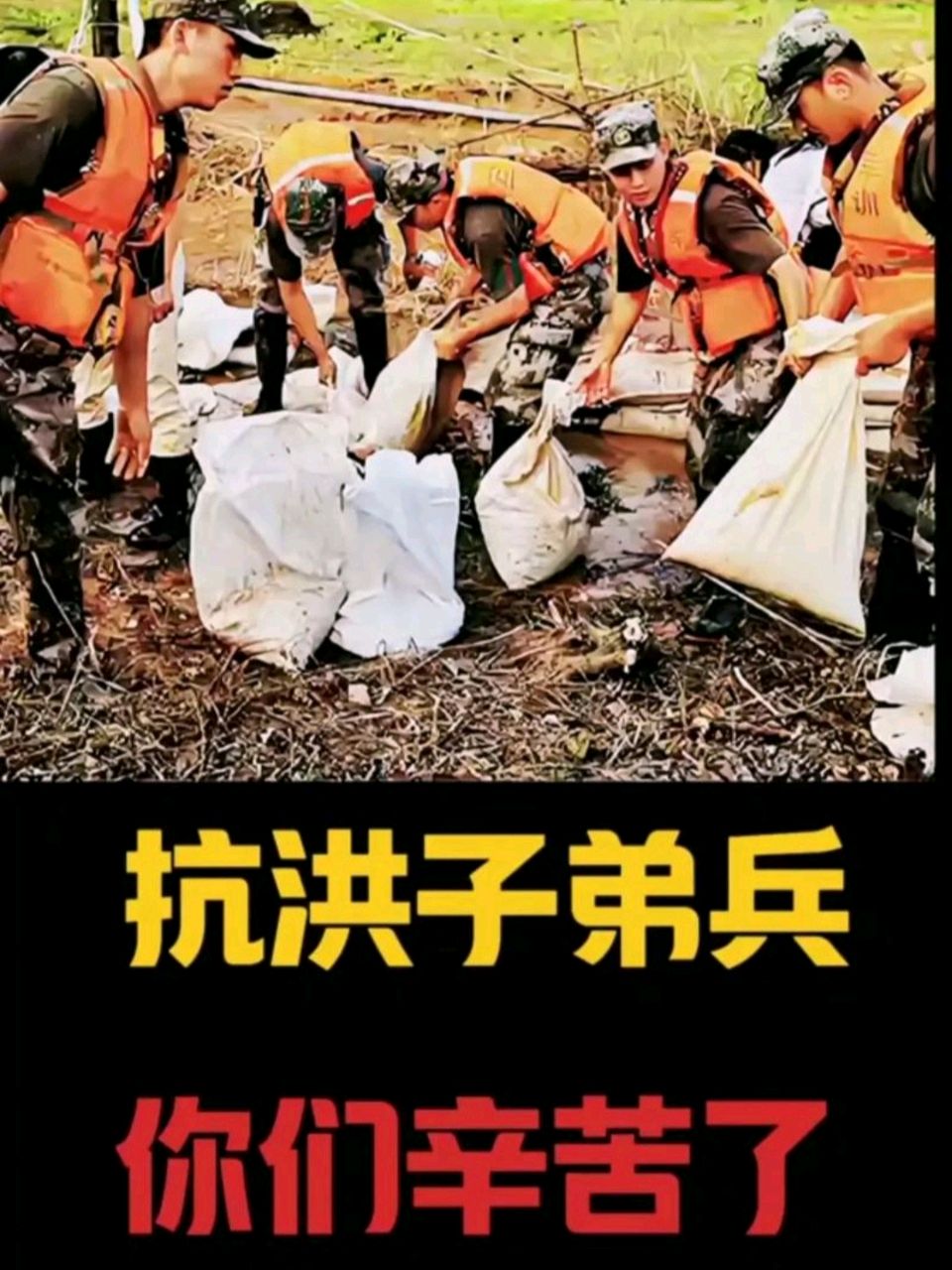 【优秀诗歌展播】洪流中的脊梁——致敬抗洪抢险子弟兵 文/蔡治华（甘肃）（图7）
