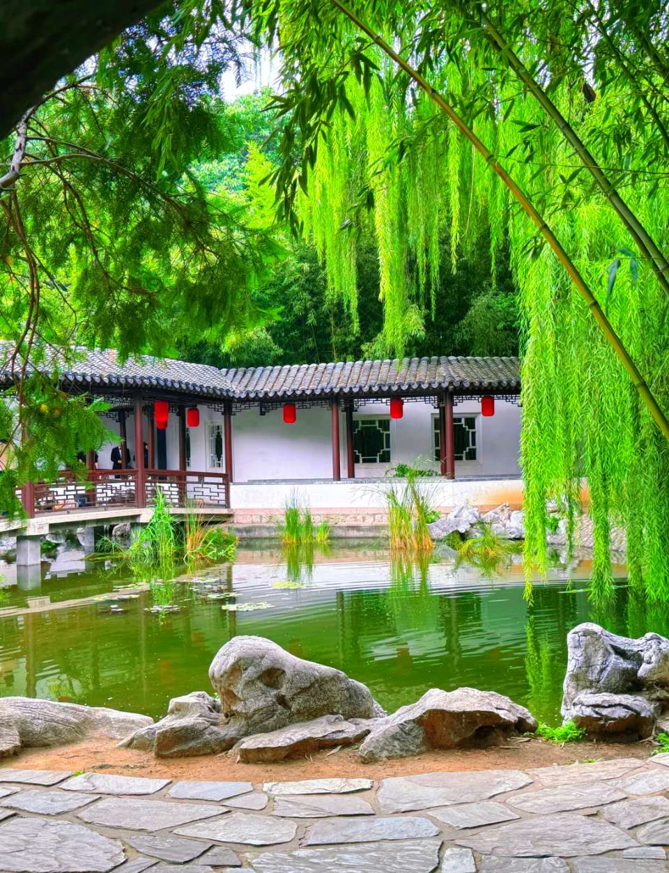 北京古塔读书会 ‖ 同题诵读《紫竹晚唱》作者/任定安 朗诵/北京古塔读书会朗读者（图21）